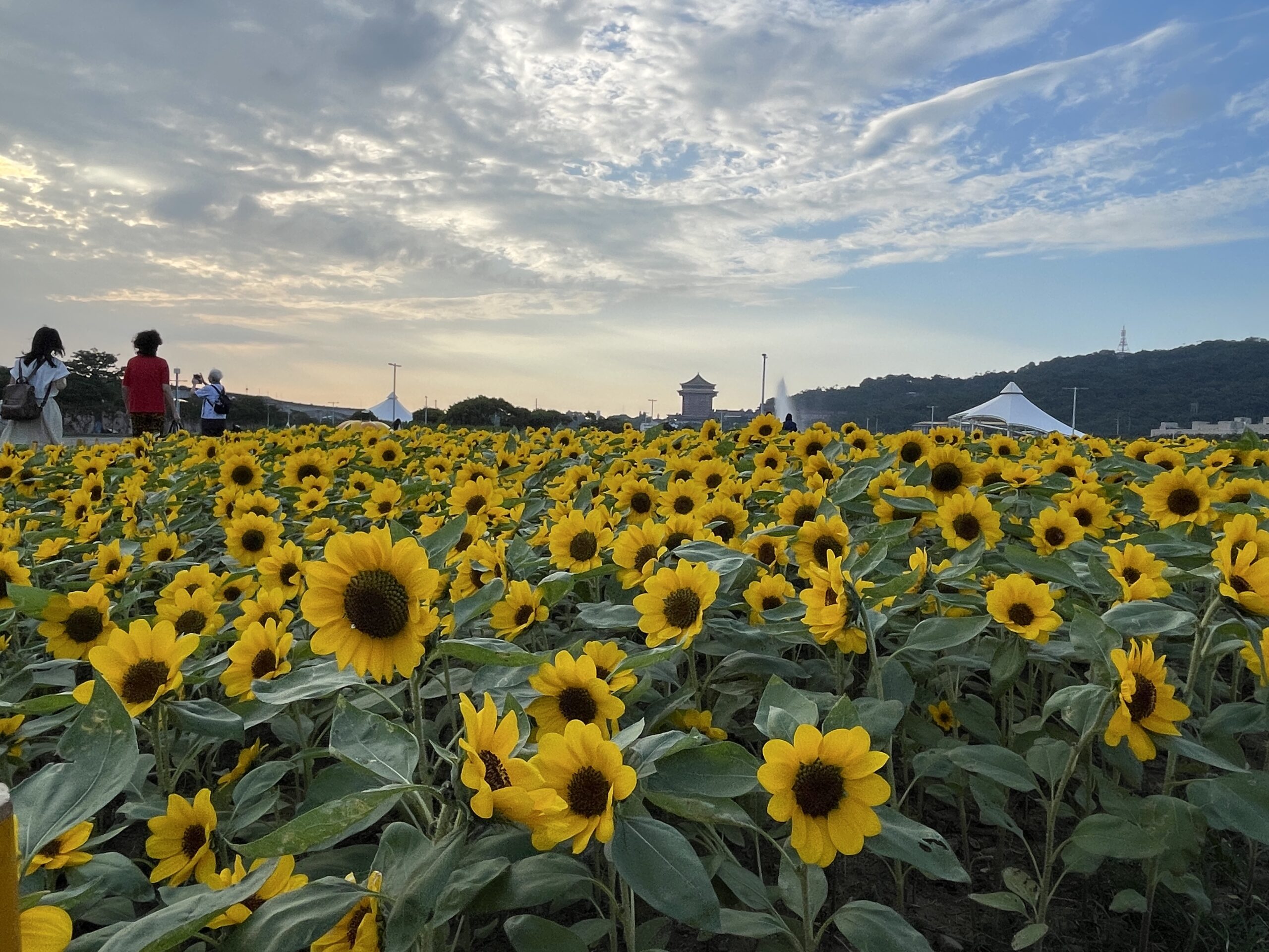 プロフィール背景画像